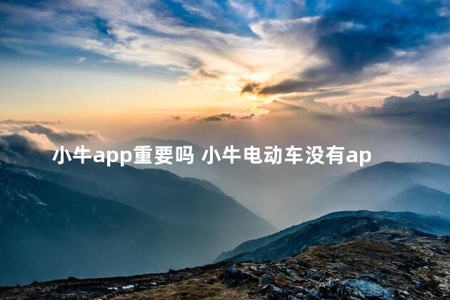 小牛app重要吗 小牛电动车没有app